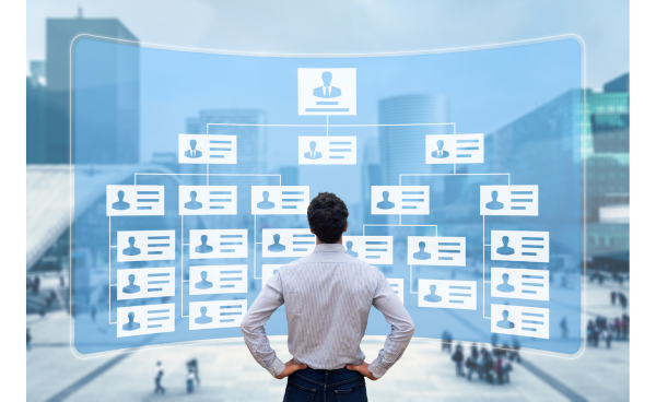 組織体制やルールの理解